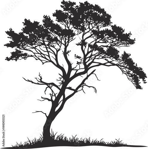 Tree Silhouette Vector Illustration - Simple and Minimalistic Outline Design for Creative.