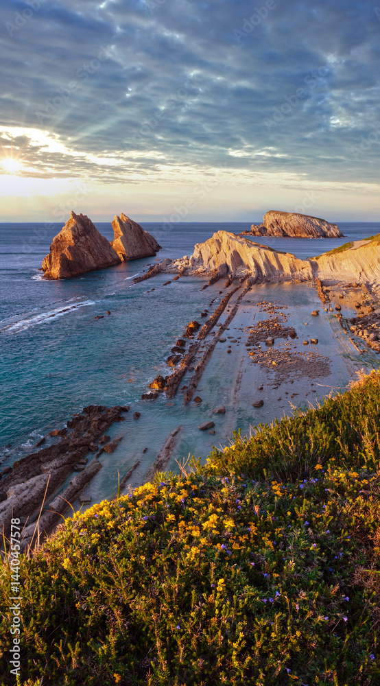 Blossoming Arnia Beach (Spain) Atlantic Ocean evening coastline landscape.