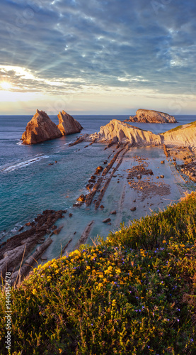 Blossoming Arnia Beach (Spain) Atlantic Ocean evening coastline landscape.