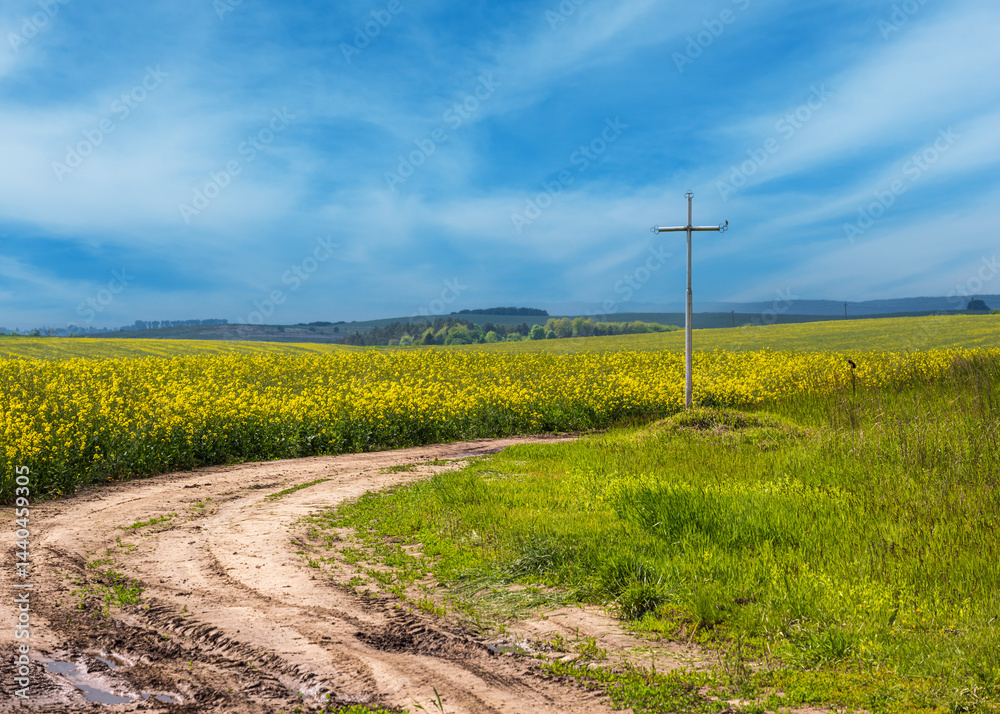 Spring rapeseed yellow blooming fields and religious cross near the pass