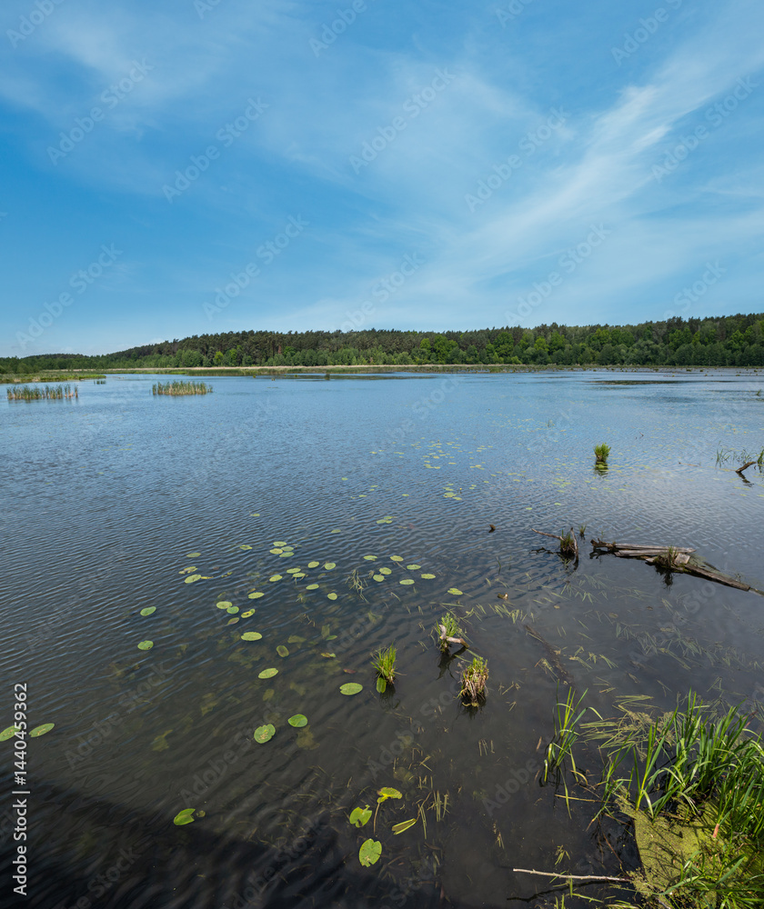 Summer valley lake landscape