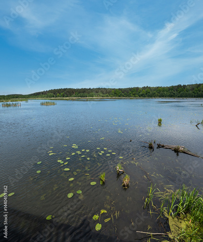 Obraz na płótnie Summer valley lake landscape w salonie