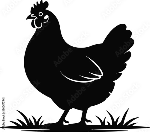 Black chicken silhouette standing in grass detailed farm animal illustration minimalist style design for print