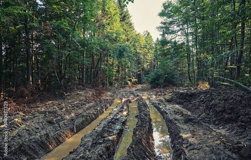 Washed out dirt road, destruction of Carpathian forests by barbaric logging and soil destruction
