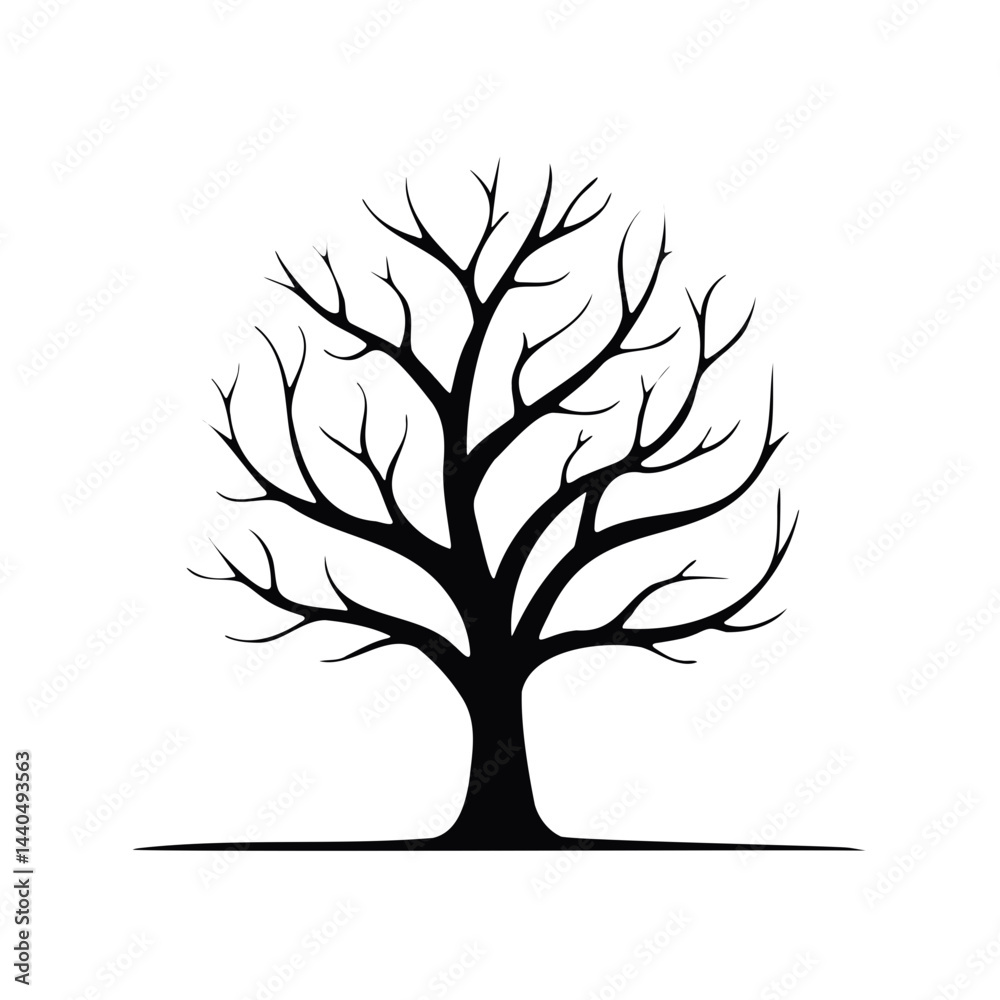 Fototapeta premium Silhouette of Leafless Tree with Bare Branches