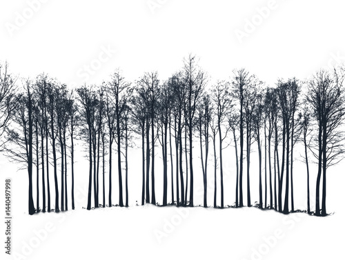 Wallpaper Mural Isolated Forest with Bare Trees Torontodigital.ca