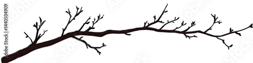 Bare, slender tree branch silhouette, extending horizontally with numerous small twigs branching off