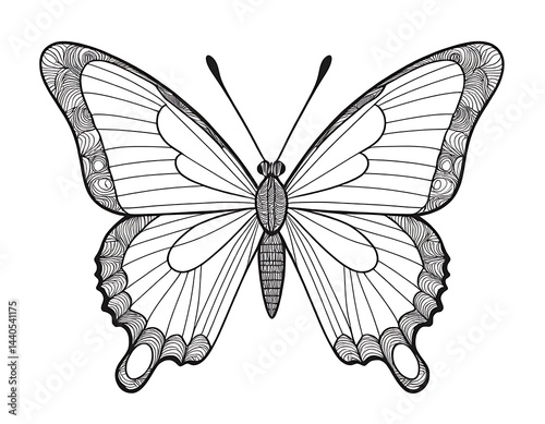 Butterfly with Simple Patterns, Minimalist Butterfly Coloring Page for Kids, Bold Black Lines on a White Background photo