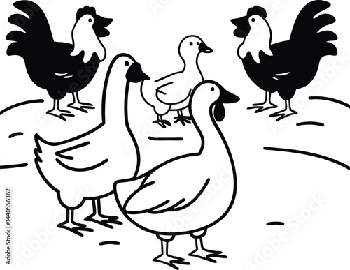 hen and rooster