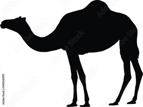 Minimalist Camel Silhouette - Icon of Desert Travel and Nomadic Life
