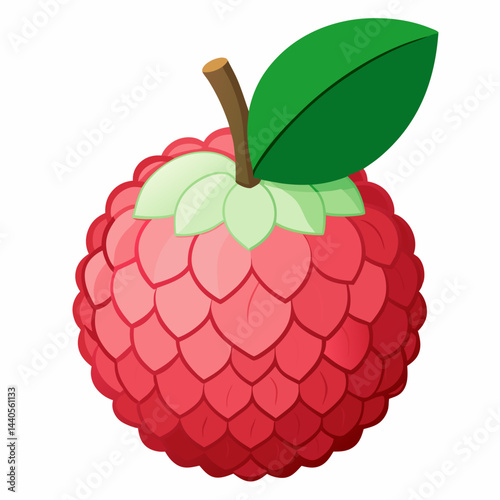 Vector illustration of a lychee