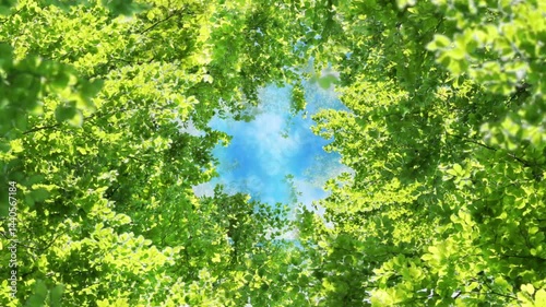 Green Leaves Frame Flight Video