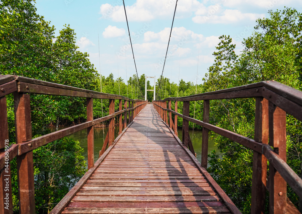 Obraz premium Wooden footbridge in nature tropical forest for trail route. Walking swing bridge, a suspension bridge across jungle, path way at Mu Ko Chumphon national park, Chumphon Province,Thailand.