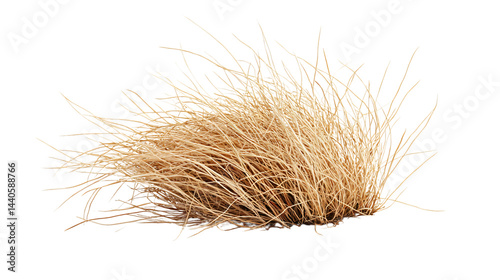 Tumbleweed Isolated on White Background for Professional Design Projects