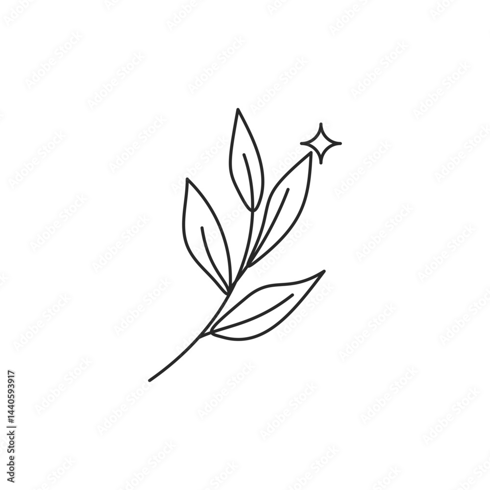 Vector linear boho elements icons and symbols Vector linear boho elements icons and symbols