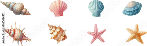 Seashells  icons collection. Starfishes and seashells vector icons .Marine Shell illustration isolated. Scallop,conch shell , snail icon.