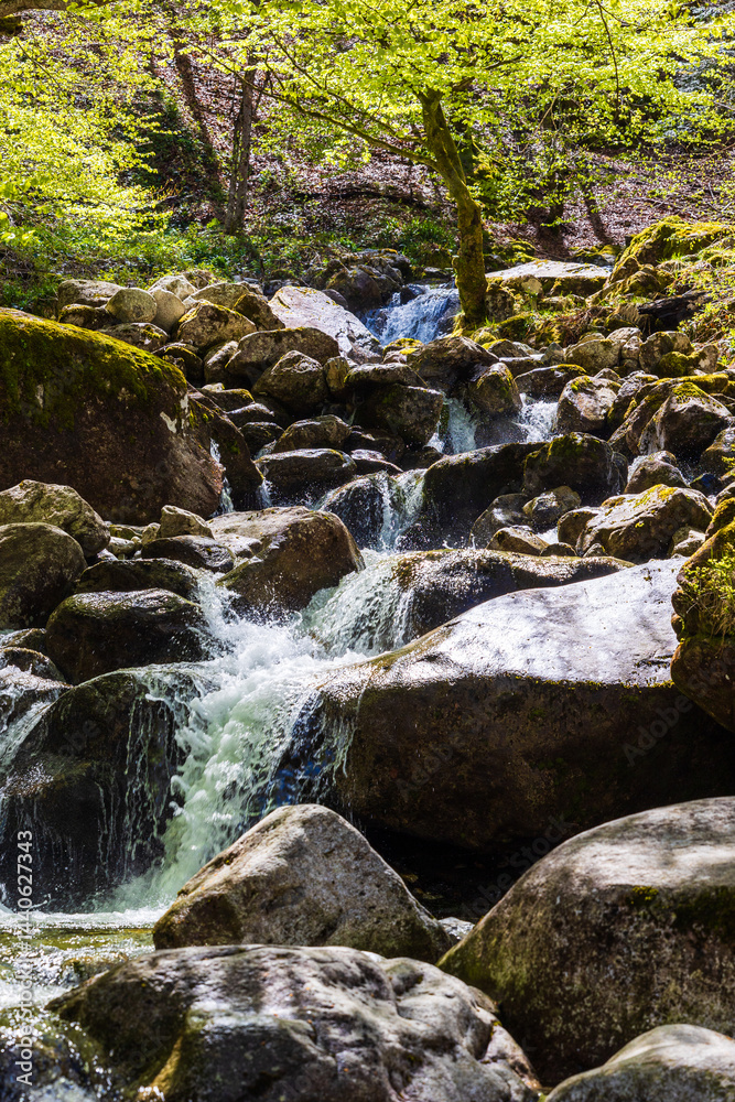 Ars River winding between rocks through the forest in spring in Haut-Couserans, Ariège