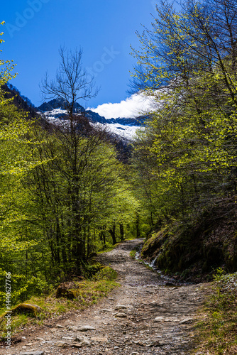Obraz na płótnie Snow-capped Pique Rouge de Bassiès Mountain in spring, seen from the hiking trail to the Ars Waterfall in Haut-Couserans, Ariège w salonie