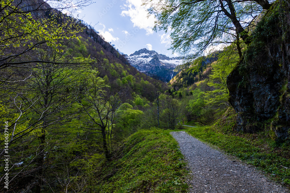Snow-capped Pique Rouge de Bassiès Mountain in spring, seen from the hiking trail to the Ars Waterfall in Haut-Couserans, Ariège