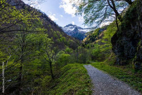 Obraz na płótnie Snow-capped Pique Rouge de Bassiès Mountain in spring, seen from the hiking trail to the Ars Waterfall in Haut-Couserans, Ariège w salonie