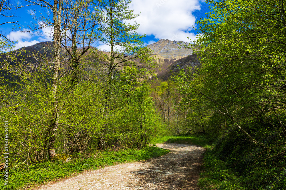 Hiking Trail to the Ars Waterfall from Aulus-les-Bains, in the Pyrenees Region of Haut-Couserans, Ariège