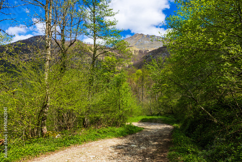 Obraz na płótnie Hiking Trail to the Ars Waterfall from Aulus-les-Bains, in the Pyrenees Region of Haut-Couserans, Ariège w salonie