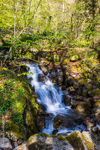 Ars River winding between rocks through the forest in spring in Haut-Couserans, Ariège