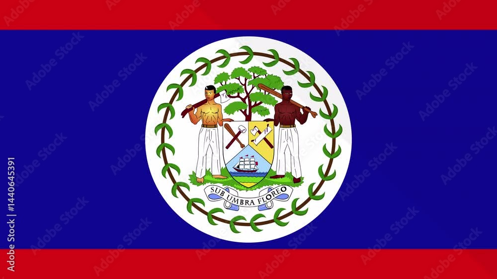 Animation of the appearance and disappearance of a flat flag 2D Belize