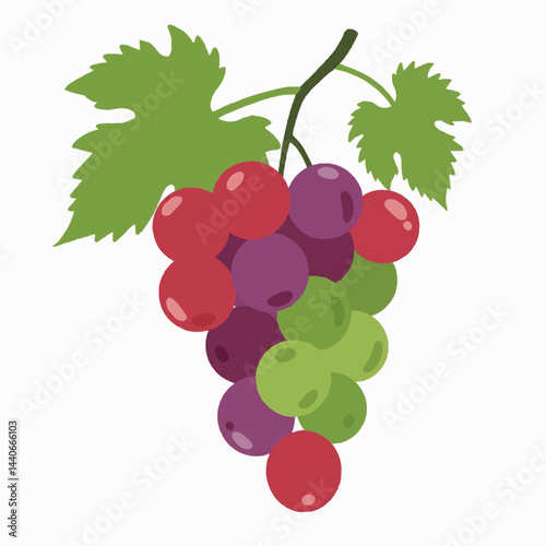 A colorful vector bunch of grapes with green leaves, isolated over a pure white background.