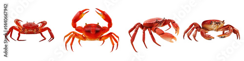 Obraz na płótnie Set of Red Crab with Extended Claws, Isolated on White or transparent background w salonie