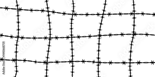 Barbed Wire in a crisscross or grid manner, Fence, Border, Chain, Prison Line, War Barrier, Metal Silhouette Background.