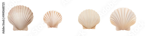 Obraz na płótnie Set of Scallop Shell with Soft Beige Tones, Front View on White or transparent background w salonie