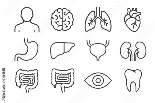 Icons representing various human organs and systems in simple line design suitable for educational purposes
