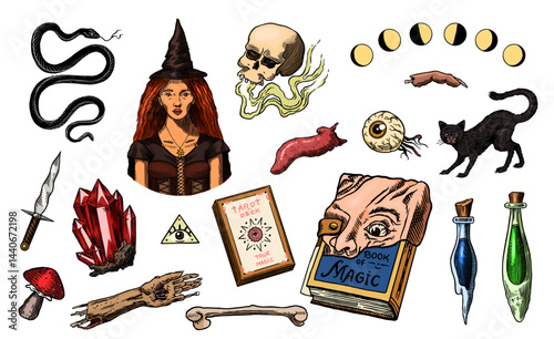 Big collection of wizardry elements for magic rituals or tarot deck, book, cat hand Witch with stone of prediction. Halloween witchcraft and sorcery things magician and voodoo hand drawn engraved 