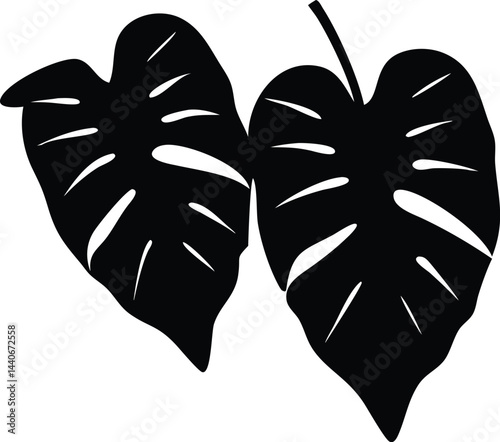 silhouette of taro leaves
