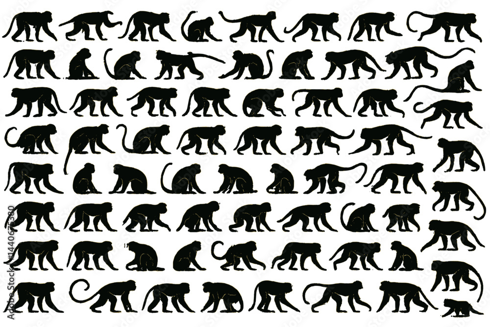 Diverse silhouettes of monkeys in various poses arranged in a grid pattern for educational purposes Diverse silhouettes of monkeys in various poses arranged in a grid pattern for educational purposes
