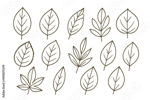 Various leaf designs displayed on a white background showcasing diverse shapes and patterns in nature's artistry
