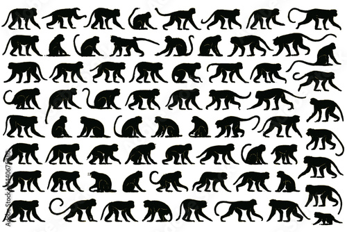 Diverse silhouettes of monkeys in various poses arranged in a grid pattern for educational purposes