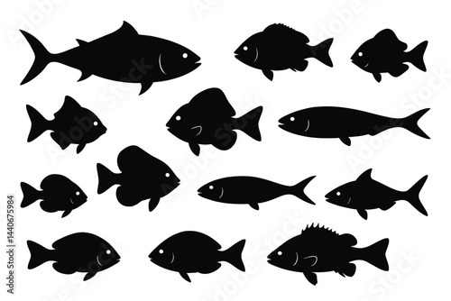 Various fish silhouettes illustrating different sizes and species in a simple black and white design