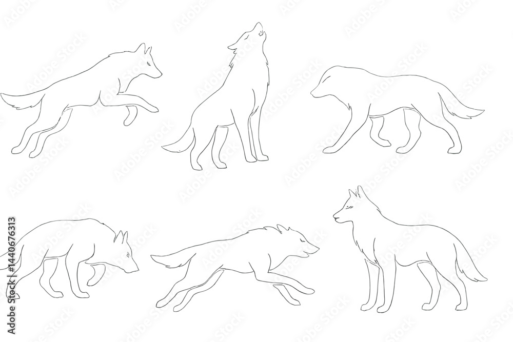 Fototapeta premium Wolf illustrations showcasing various postures and movements in a natural setting