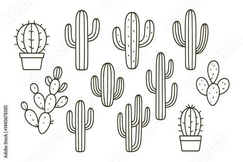 Illustration of various cactus species in simple line art design suitable for nature lovers and plant enthusiasts