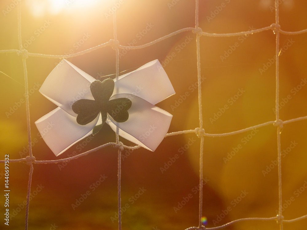 White bow with green Irish shamrock attached on a goal post net. Support for national sport of Ireland, hurling, Gaelic football, rugby, camogie. Selective focus. Boys in green fan base. Sun flare.