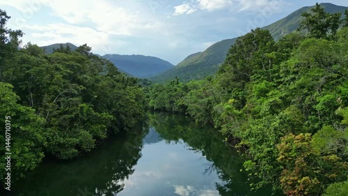 Aerial view of rivers in the middle of tropical Daintree rainforest