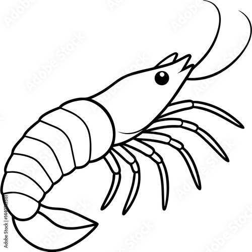 Minimalist Shrimp Line Art Vector