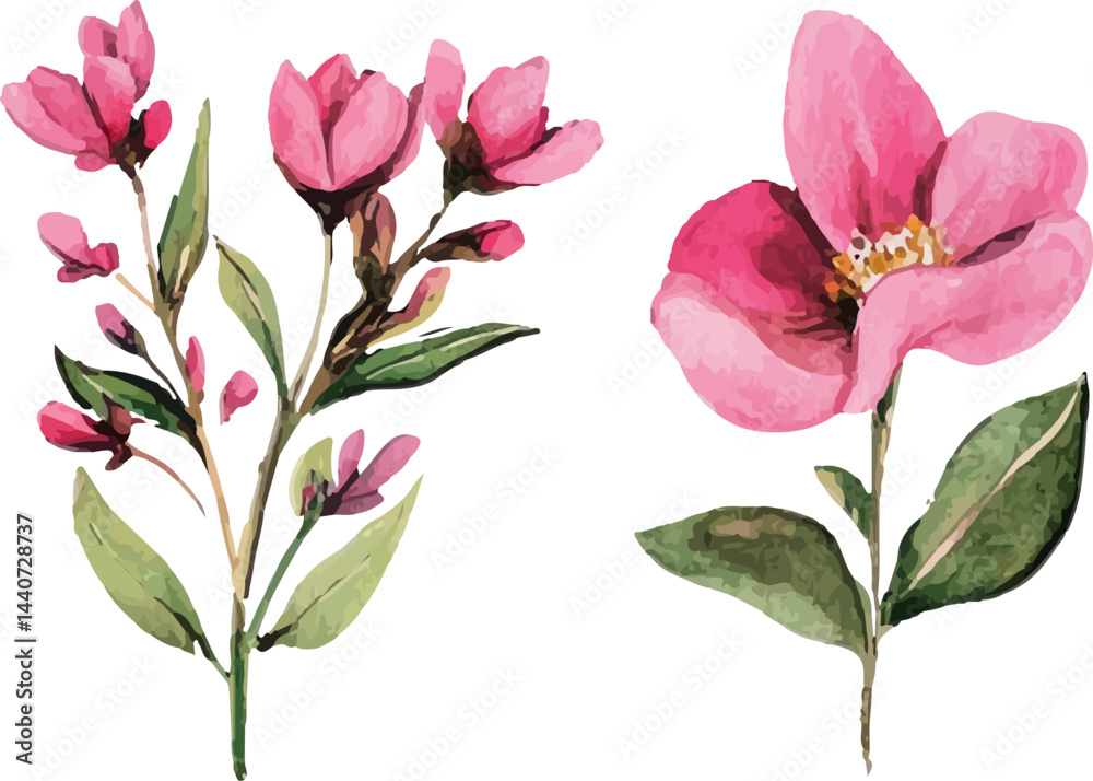Fototapeta premium pink magnolia flower