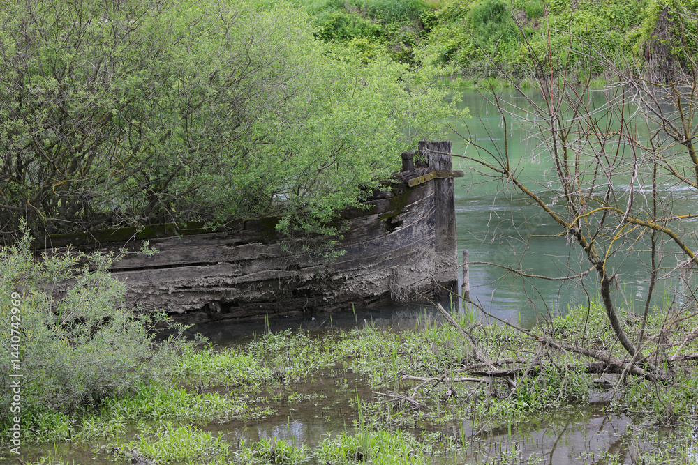 Bow of th sunken boat called BURCIO or BURCHIO in italian language in the BURCI CEMETERY a place in the bend of the river SILE in Northern Italy with wrecks of old sunken boats and trees