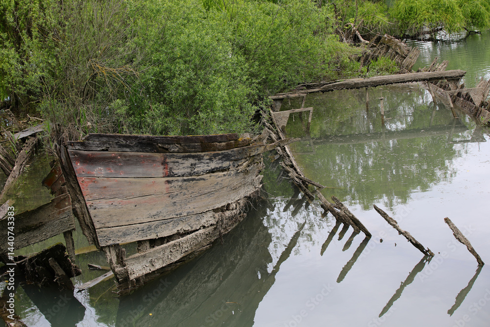 Bow of th sunken old ship called BURCIO or BURCHIO in italian language in the BURCI CEMETERY a suggestive place in the bend of the river SILE in Northern Italy with wrecks of old sunken wooden boats