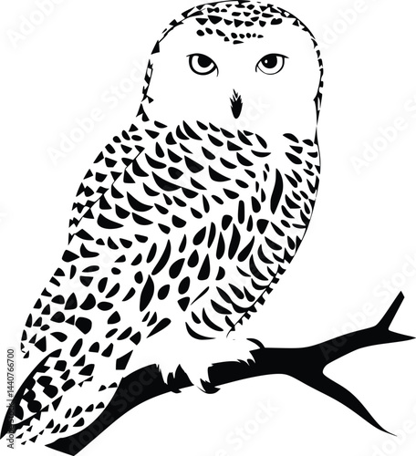 Bold Black And White Snowy Owl. Vector Illustration Isolated On White