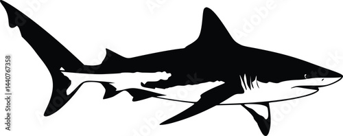 Bold Black And White Hammerhead Shark. Vector Illustration Isolated On White