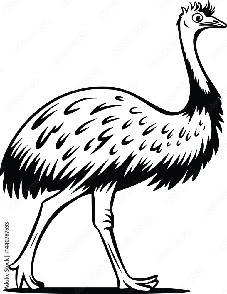 Obraz premium Bold Black And White Emu Walking. Vector Illustration Isolated On White